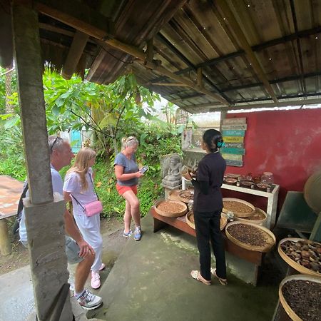 Badini Homestay Pemuteran Kültér fotó